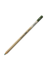 Royal Talens Bruynzeel Design Pastel Pencil, Sap Green