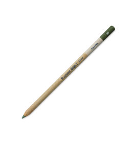 Royal Talens Bruynzeel Design Pastel Pencil, Sap Green