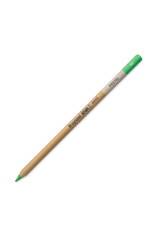 Royal Talens Bruynzeel Design Pastel Pencil, Light Green