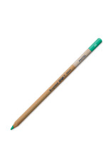 Royal Talens Bruynzeel Design Pastel Pencil, Green