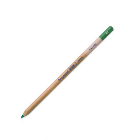 Royal Talens Bruynzeel Design Pastel Pencil, Dark Leaf Green