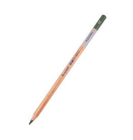 Royal Talens Bruynzeel Design Aquarel Pencil, Olive Green