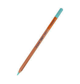 Royal Talens Bruynzeel Design Coloured Pencil, Iced Green