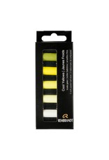 Royal Talens Rembrandt Soft Pastel 5 Half Stick Micro Set Cool Yellows