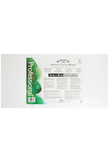 Winsor & Newton Winsor & Newton Canvas Panel, 10'' x 20''