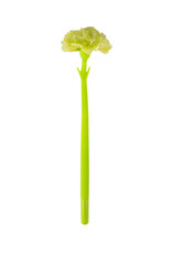 BCmini BCmini Carnation Flower Gel Pen