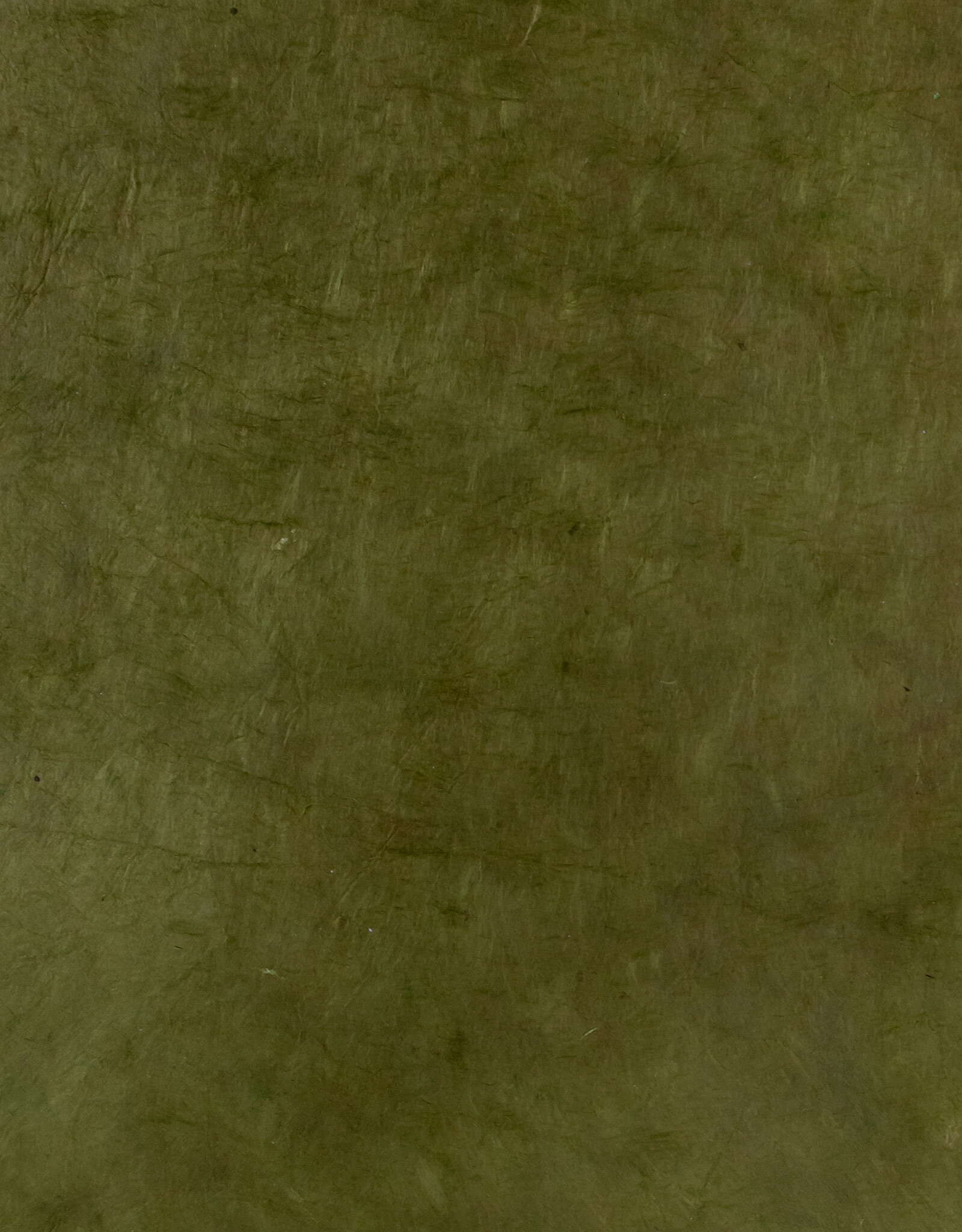 AITOH Aitoh Lokta Dyed Asparagus, 19.5" x 29.5"