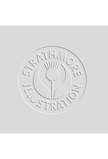 Strathmore Strathmore 500 Illustration Board, Heavyweight Vellum, 30" x 40"