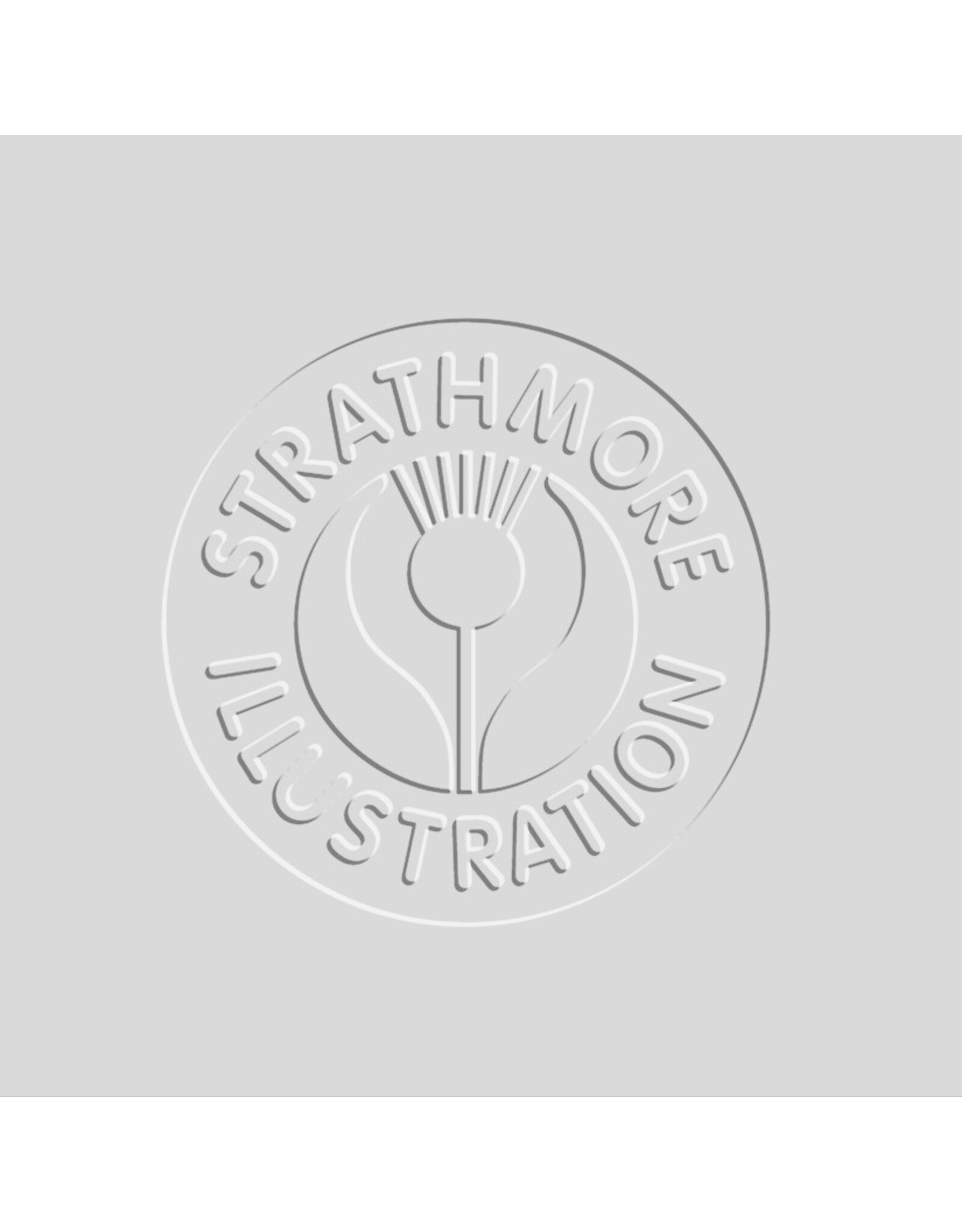 Strathmore Strathmore 500 Illustration Board, Heavyweight Vellum, 30" x 40"