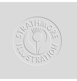 Strathmore Strathmore 500 Illustration Board, Heavyweight Vellum, 30" x 40"