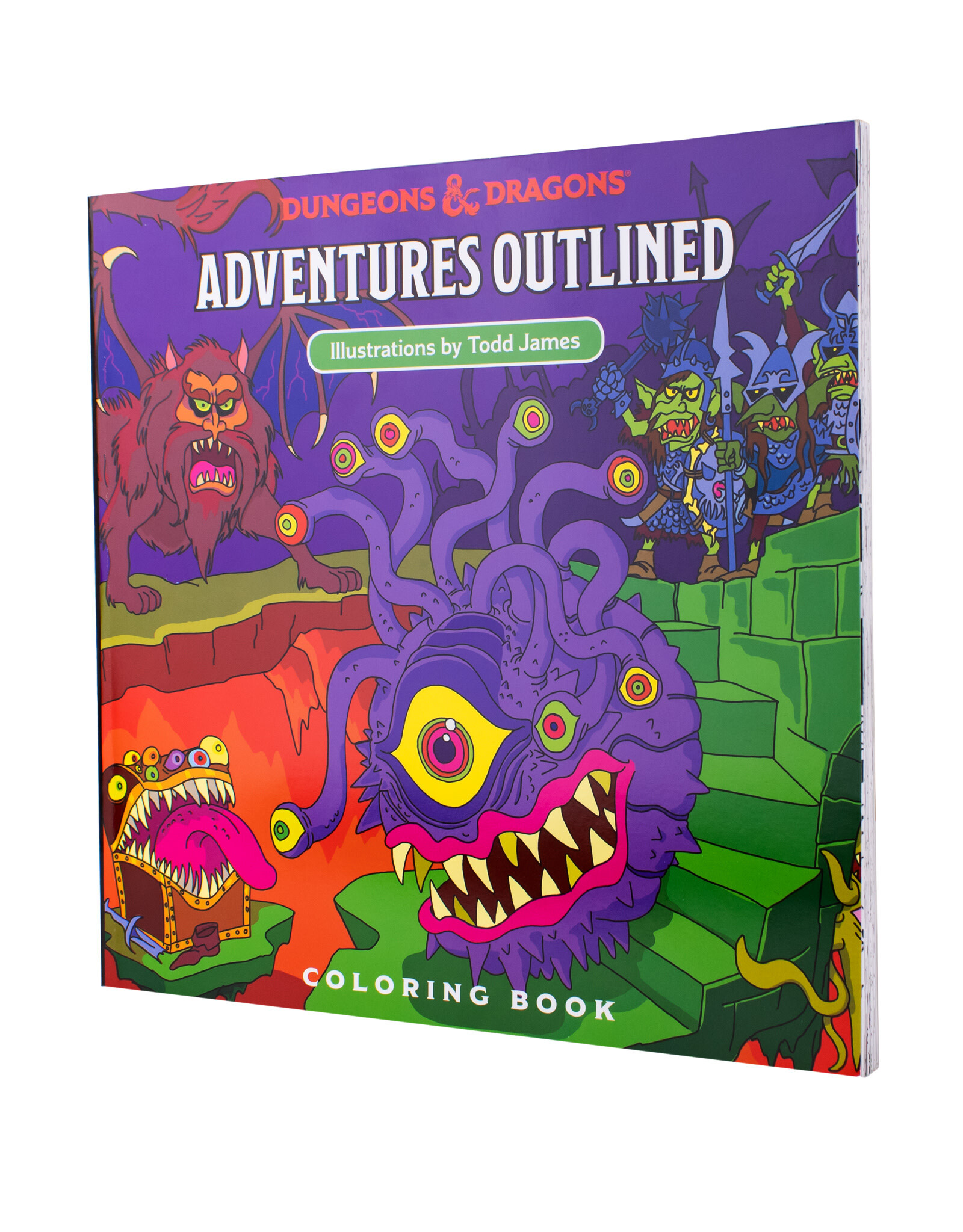Wizards of The Coast Dungeons and Dragons Adventures Outlined Coloring Book