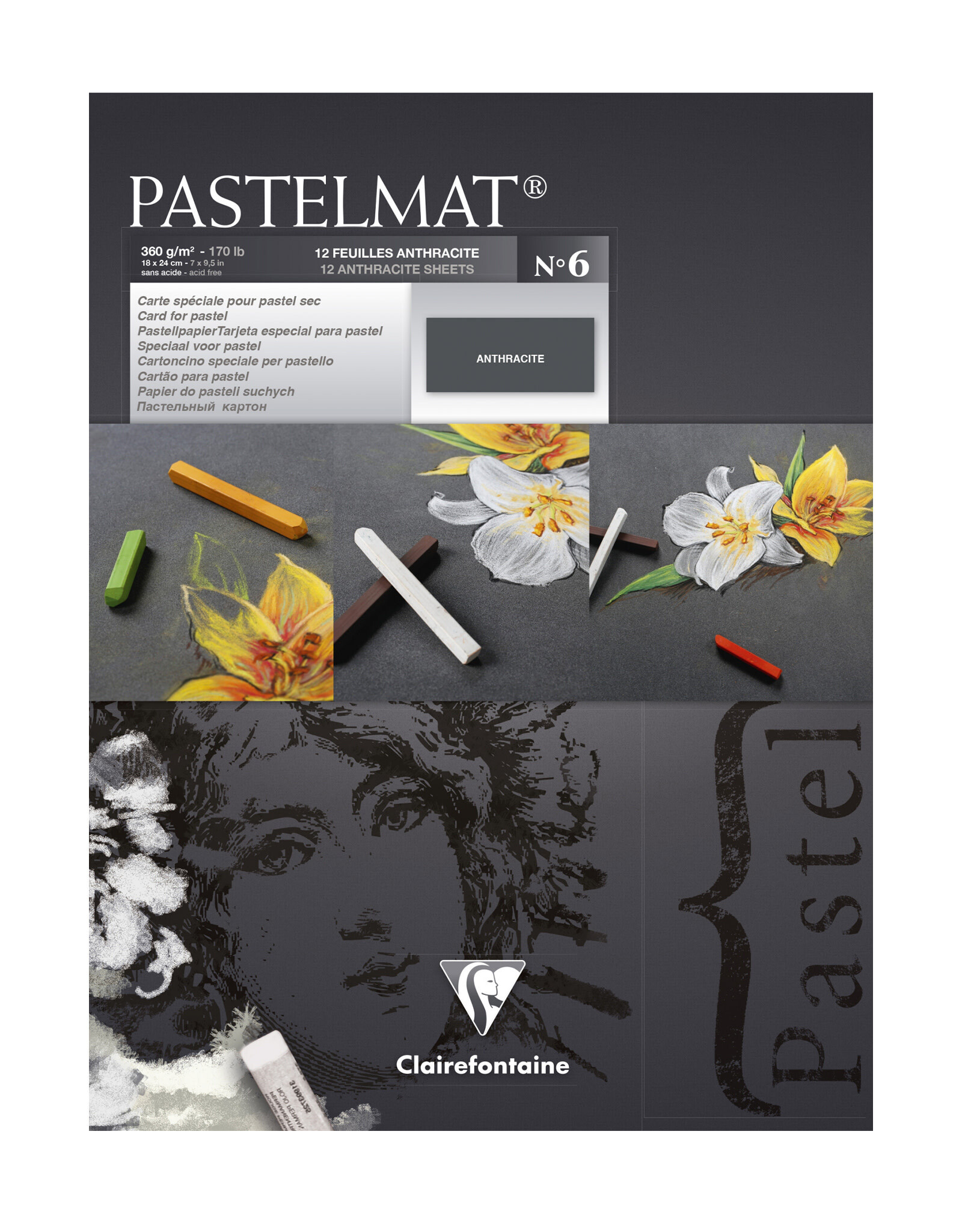 Exaclair Exaclair Pastelmat Pad, 12 sheets, 11 8/10” x 15¾”, Anthracite