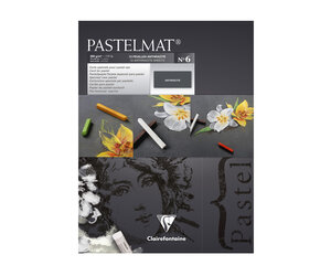 Exaclair Pastelmat Pad, 12 sheets, 11 8/10” x 15¾”, Anthracite - The Art  Store/Commercial Art Supply