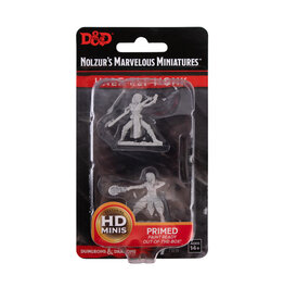 WIZKIDS D&D Nolzur`s Marvelous  Miniatures Female HalfElf Monk