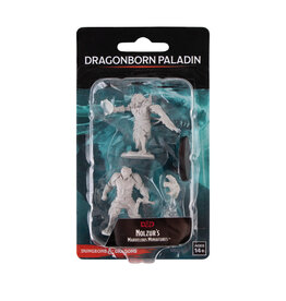 WIZKIDS Dungeons & Dragons Nolzur`s Marvelous Unpainted Miniatures: W11 Male Dragonborn Paladin