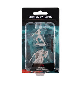 WIZKIDS D&D Nolzur`s Marvelous  Miniatures Female Human Paladin