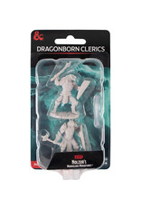 WIZKIDS D&D Nolzur`s Marvelous  Miniatures Dragonborn Clerics