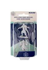Critical Role  Miniatures Hollow One Rogue and Sorceror Male