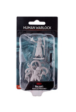 WIZKIDS D&D Nolzur`s Marvelous  Miniatures Female Human Warlock
