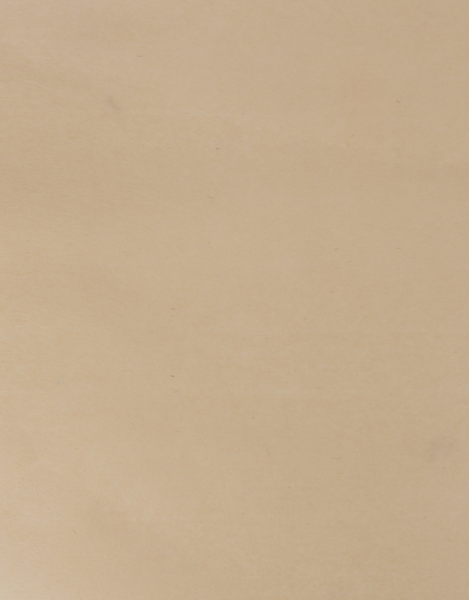 AITOH Aitoh Hogodaiyou: Koze, Rayon Blend, Plain, 23.5" x 37.5"