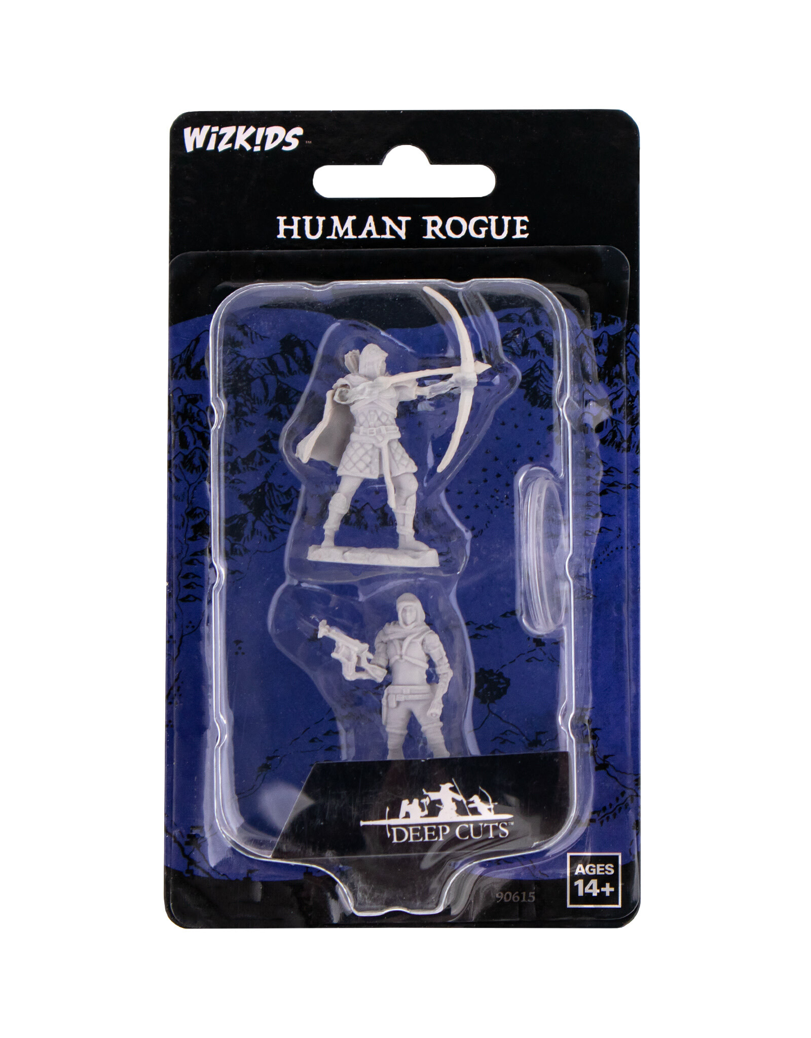 WizKids Deep Cuts Unpainted Miniatures: W20 Human Rogue