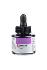 Pantone Talens Pantone Marker Ink Bottle 30ml, 2572