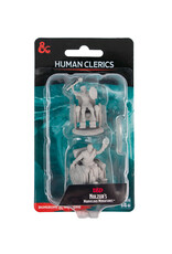 WIZKIDS D&D Nolzur`s Marvelous  Miniatures Human Clerics