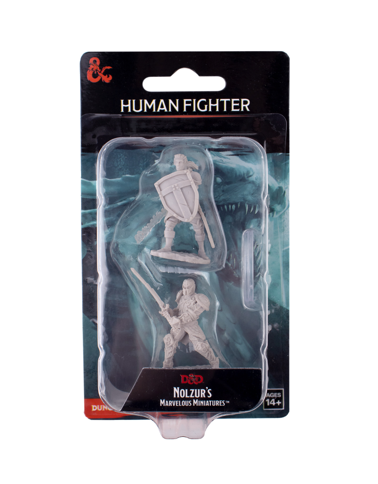 Dungeons & Dragons Nolzur`s Marvelous Unpainted Miniatures: W8 Male Human  Fighter - The Art Store/Commercial Art Supply