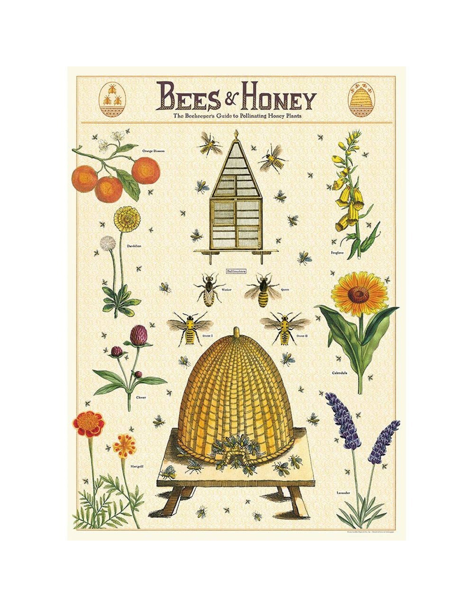 Cavallini & Co. Wrap Sheet Bees & Honey 2