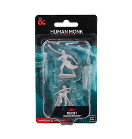 WIZKIDS D&D Nolzur`s Marvelous  Miniatures  Human Female Monk