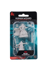 WIZKIDS D&D Nolzur`s Marvelous  Miniatures  Human Male Wizard