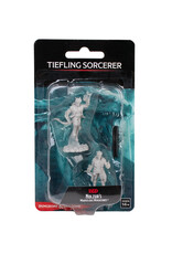 WIZKIDS D&D Nolzur`s Marvelous  Miniatures Male Tiefling Sorcerer
