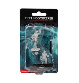 WIZKIDS D&D Nolzur`s Marvelous  Miniatures Male Tiefling Sorcerer