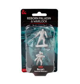 WIZKIDS D&D Nolzur`s Marvelous  Miniatures Reborn Paladin and Warlock