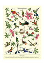 Cavallini & Co. Wrap Sheet Humming Birds
