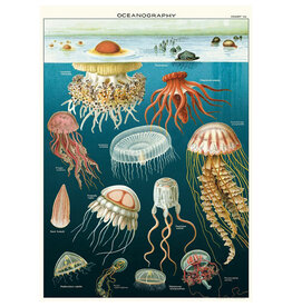 Cavallini & Co. Wrap Sheet Jellyfish