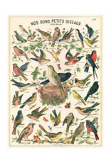 Cavallini & Co. Wrap Sheet Bird Chart