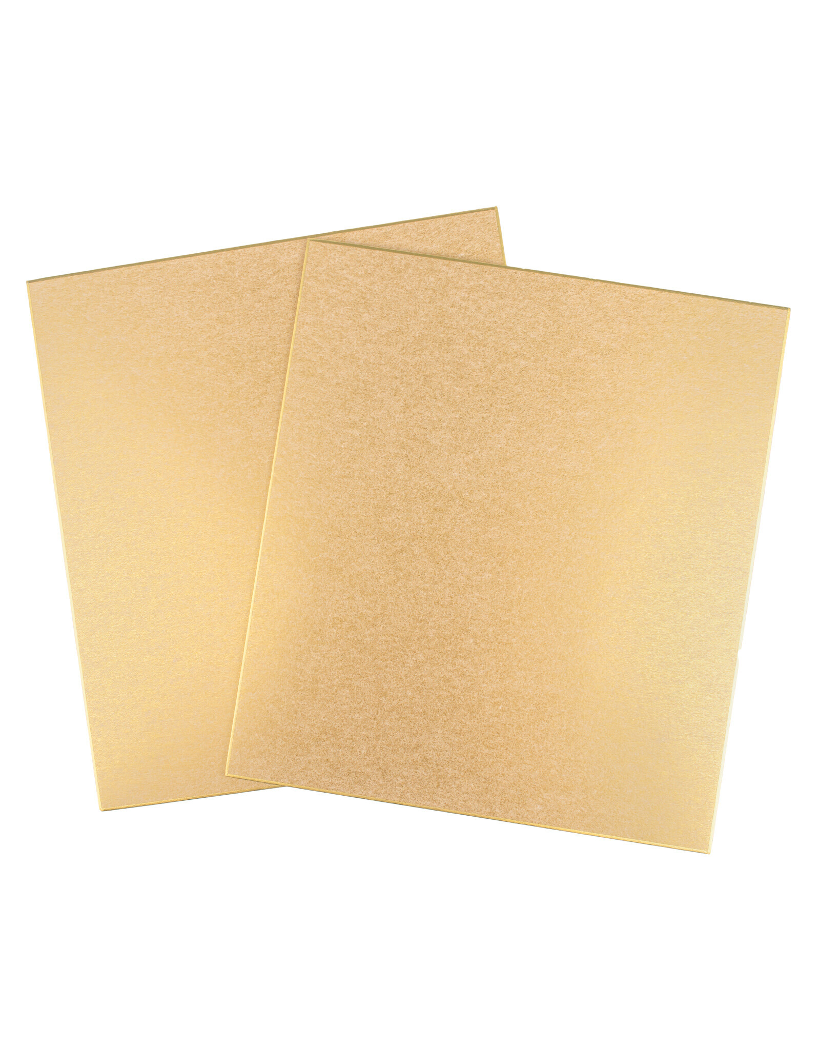 AITOH Aitoh Shikishi Board: Gasen Paper, Pack of 2, 9.5" x 10.75"