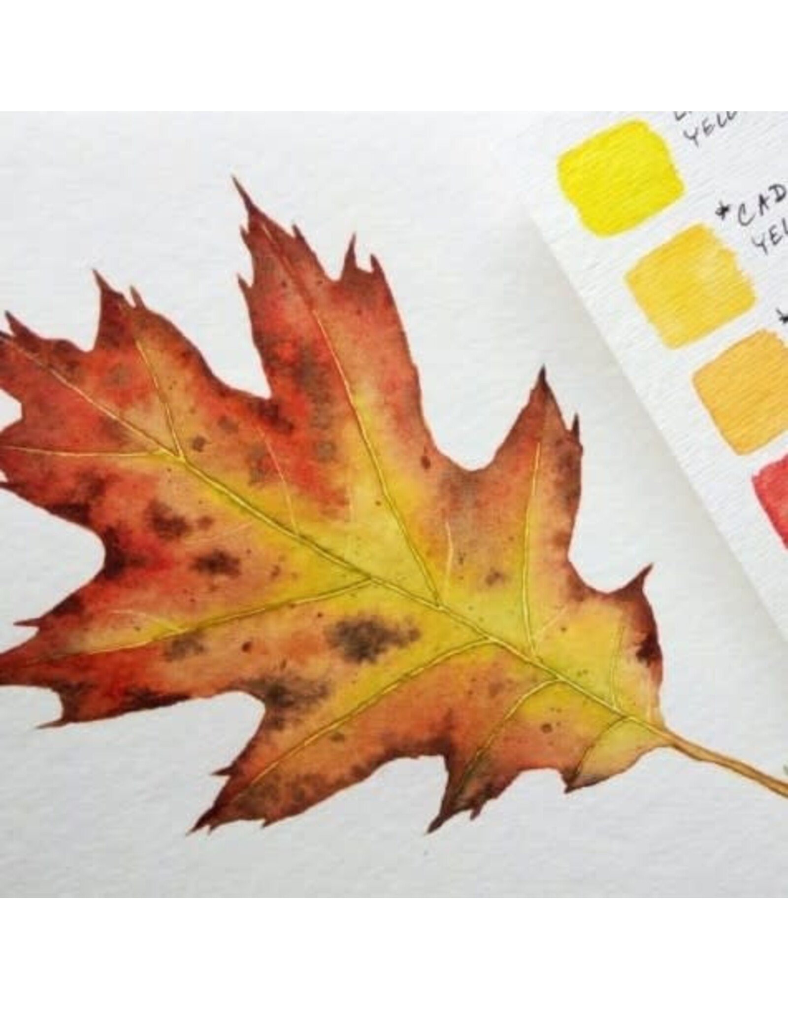 Water Media Fall Leaves Saturday October 5 11:00 - 1:00