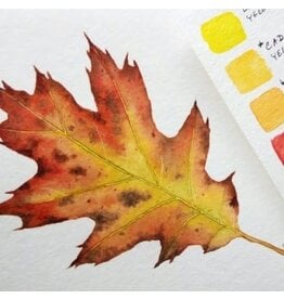 Water Media Fall Leaves Saturday October 5 11:00 - 1:00