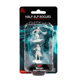 WIZKIDS D&D Nolzur`s Marvelous  Miniatures  Half-Elf Rogue Female
