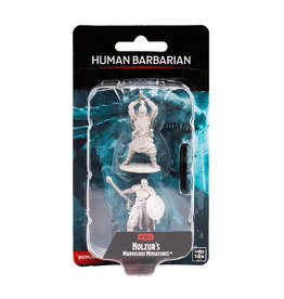 WIZKIDS D&D Nolzur`s Marvelous  Miniatures Human Barbarian Male