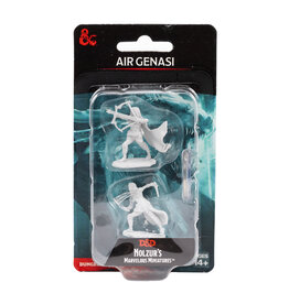 WIZKIDS D&D Nolzur`s Marvelous  Miniatures  Air Genasi Female