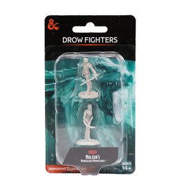 WIZKIDS D&D Nolzur`s Marvelous  Miniatures Drow Fighters