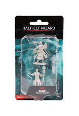 WIZKIDS D&D Nolzur`s Marvelous  Miniatures HalfElf Wizard Male