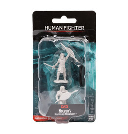 WIZKIDS D&D Nolzur`s Marvelous  Miniatures Human Fighter Male