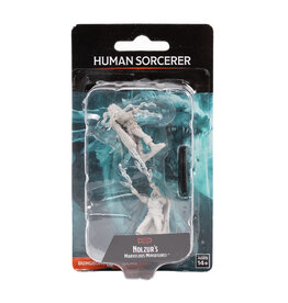 WIZKIDS D&D Nolzur`s Marvelous  Miniatures  Human Male Sorcerer