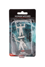 WIZKIDS D&D Nolzur`s Marvelous  Miniatures Human Wizard Male