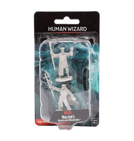 WIZKIDS D&D Nolzur`s Marvelous  Miniatures Human Wizard Male