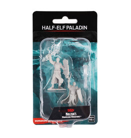 WIZKIDS D&D Nolzur`s Marvelous  Miniatures  Half Elf Paladin Male
